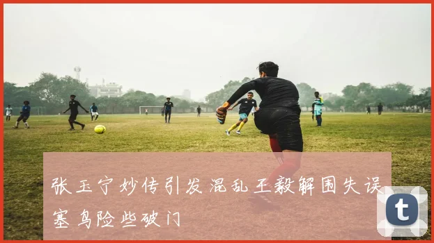 张玉宁妙传引发混乱王毅解围失误塞鸟险些破门